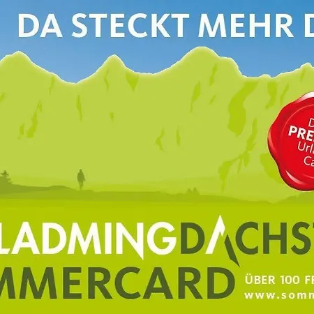 Bliem Living By Schladming-appartements *